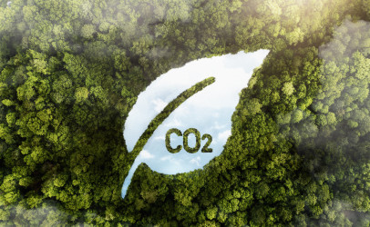 AI is revolutionizing decarbonization