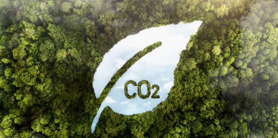 9 Ways AI Will Drive Decarbonization: Unlocking the Future of Sustainable Business