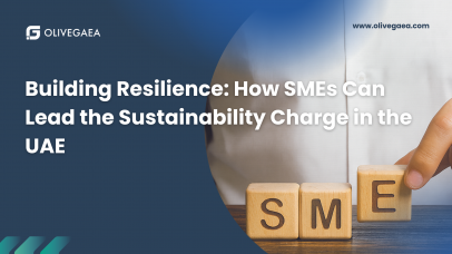 SMEs leading sustainability in UAE under climate law