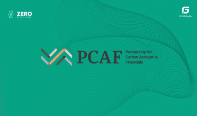 pcaf-update-financial-institutions-mena-olive-gaea.jpg