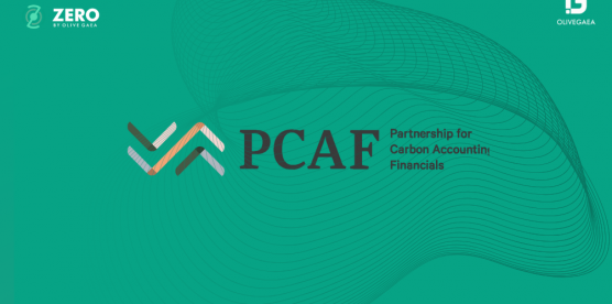 PCAF’s Updated Global GHG Accounting Standard: What Financial Institutions in MENA Need to Know