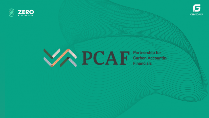 pcaf-update-financial-institutions-mena-olive-gaea.jpg