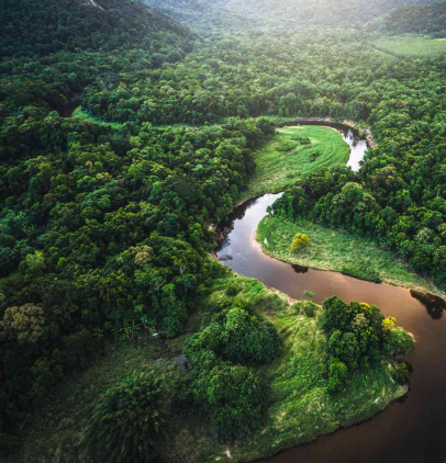 Carbon Offsetting, : From Strategy to Retirement
