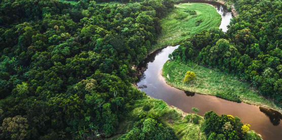 Carbon Offsetting, Done Properly: From Strategy to Retirement