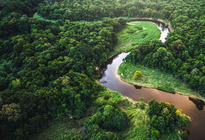 Carbon Offsetting, : From Strategy to Retirement